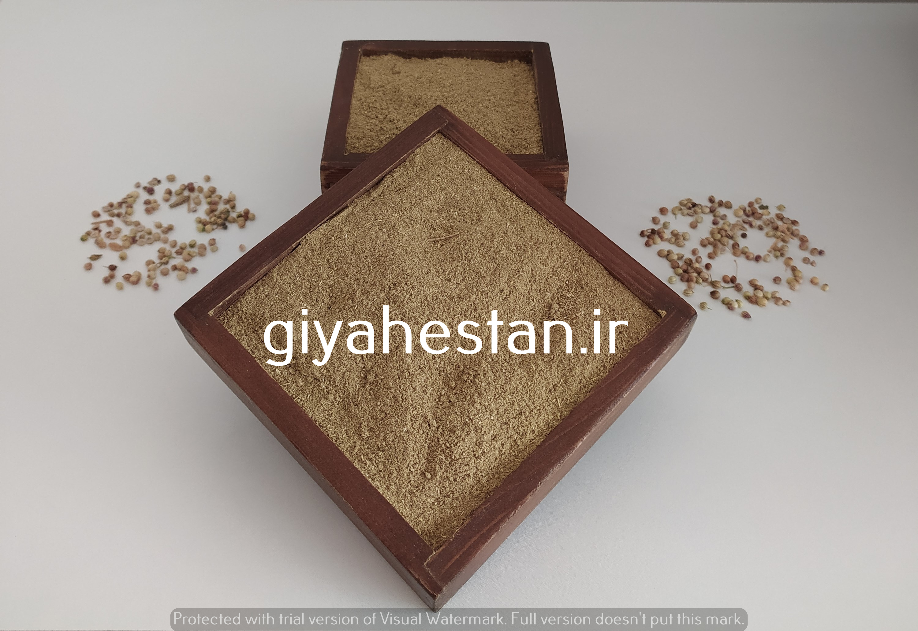 تصویر پودر تخم گشنیز 