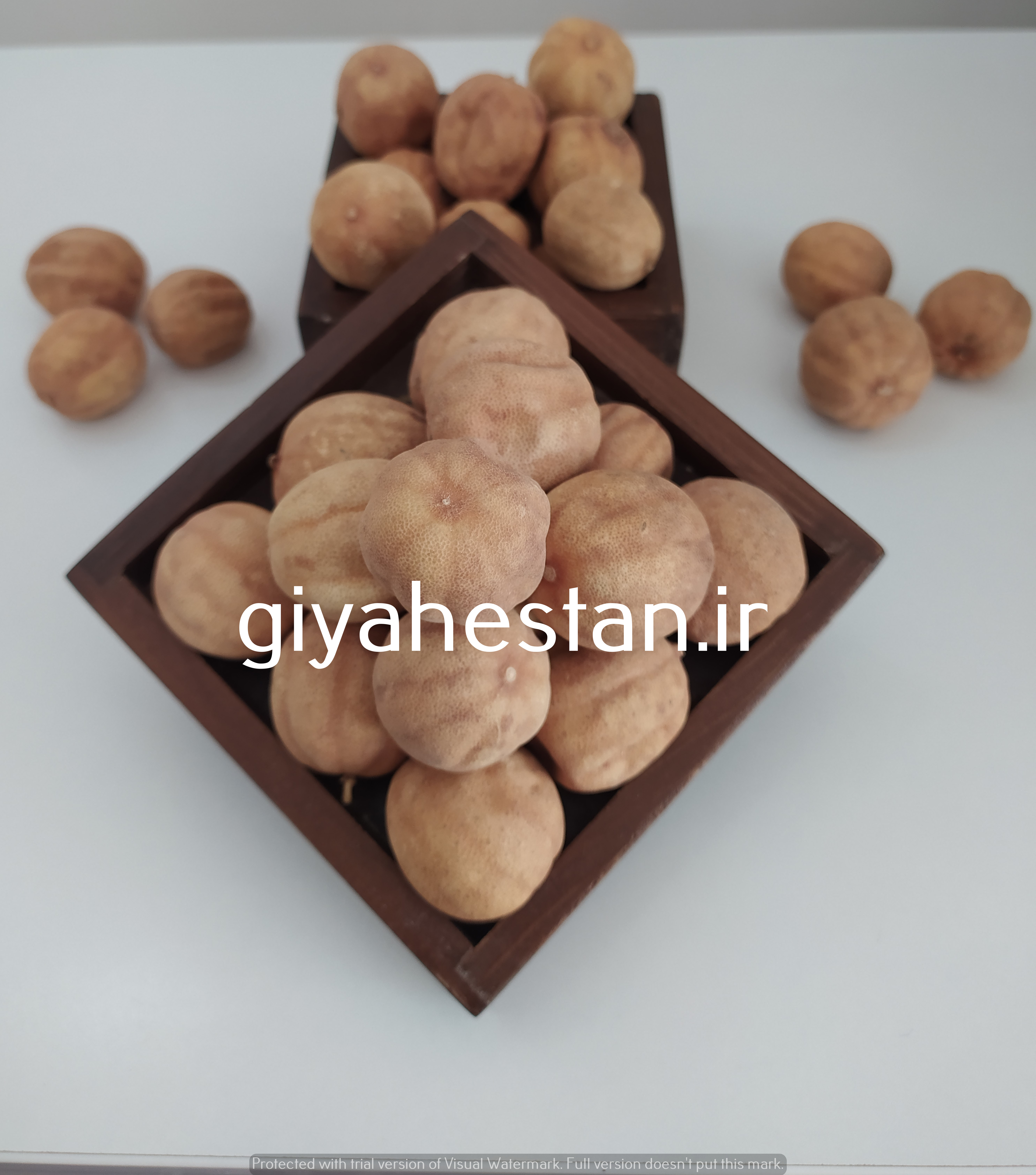 تصویر لیمو عمانی یک کیلویی 